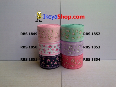 Pita RBS 1849 1854  large2